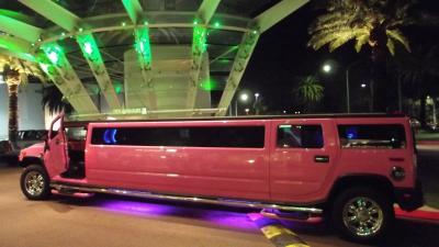 Pink-Hummers