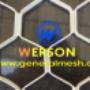 amplimesh grill