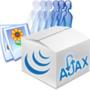 Ajzx/Jquery Development