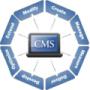 CMS Development