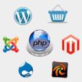 Webstralia - Hire Dedicated Resources for PHP Development