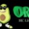 Mr-Orchard