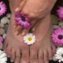 SOLE DEEP MASSAGE CLINIC LOGO
