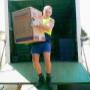Sydney Domain Furniture Removals