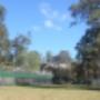 Chainwire Fencing 3