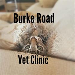 Burke Road Veterinary Clinic & Hospital