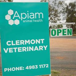 Clermont Veterinary Surgery