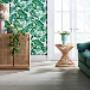 Home Trending Sultry Botanics