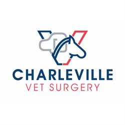 Charleville Vet Surgery