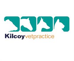Kilcoy Veterinary Practice