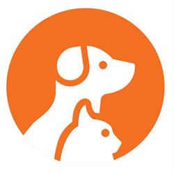 Liverpool Veterinary Hospital