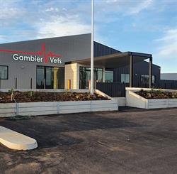 Gambier Vets