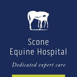 Scone Equine Hospital Pty Ltd