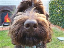 Busselton Veterinary Hospital