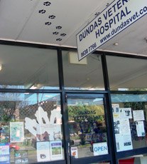 Rydalmere Veterinary Clinic