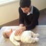 Osteopathy for Adulds, Children & Infants