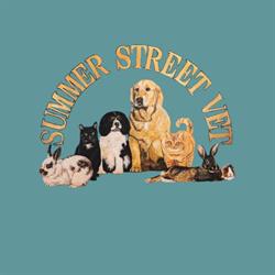 Summer Street Veterinary Clinic