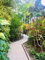 The Villas Palm Cove