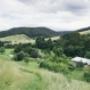 Marquee in Otways