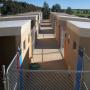 View down the middle of Arthur Road Kennels