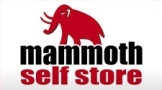 Mammoth Self Store