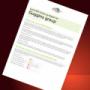 Marketing Audit