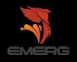 Emerg Solutions Pty Ltd