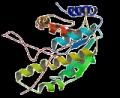 A Common Form of Genetic Hearing Loss - Connexin 26