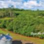 Looking out over the farm
