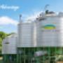 Macadamia Nut Silo