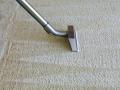 Carpet Steam Cleaning