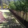 mulching