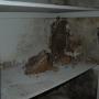 Termite Damage