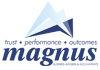Magnus Business Advisers and Accountants