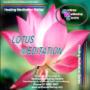 Hypnosis CDs