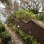 Brushwood Fence