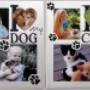 Cat or Dog Photo Frames