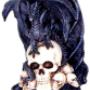 Dragons & Skulls