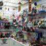 Inside Shop
