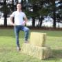 hay bales