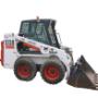 bobcat