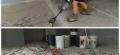 Floor Stripping