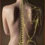 Castle Hill best chiropractor