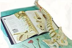 Greenacre Sports Medicine Clinic
