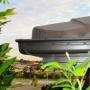 Guttering Repairs and Replacements