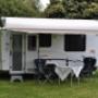 Jayco Discovery 2011