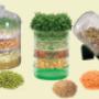 sprouting kits