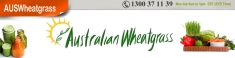 Australian Wheatgrass