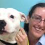 animal hospital Caloundra