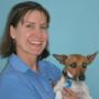 vet Caloundra